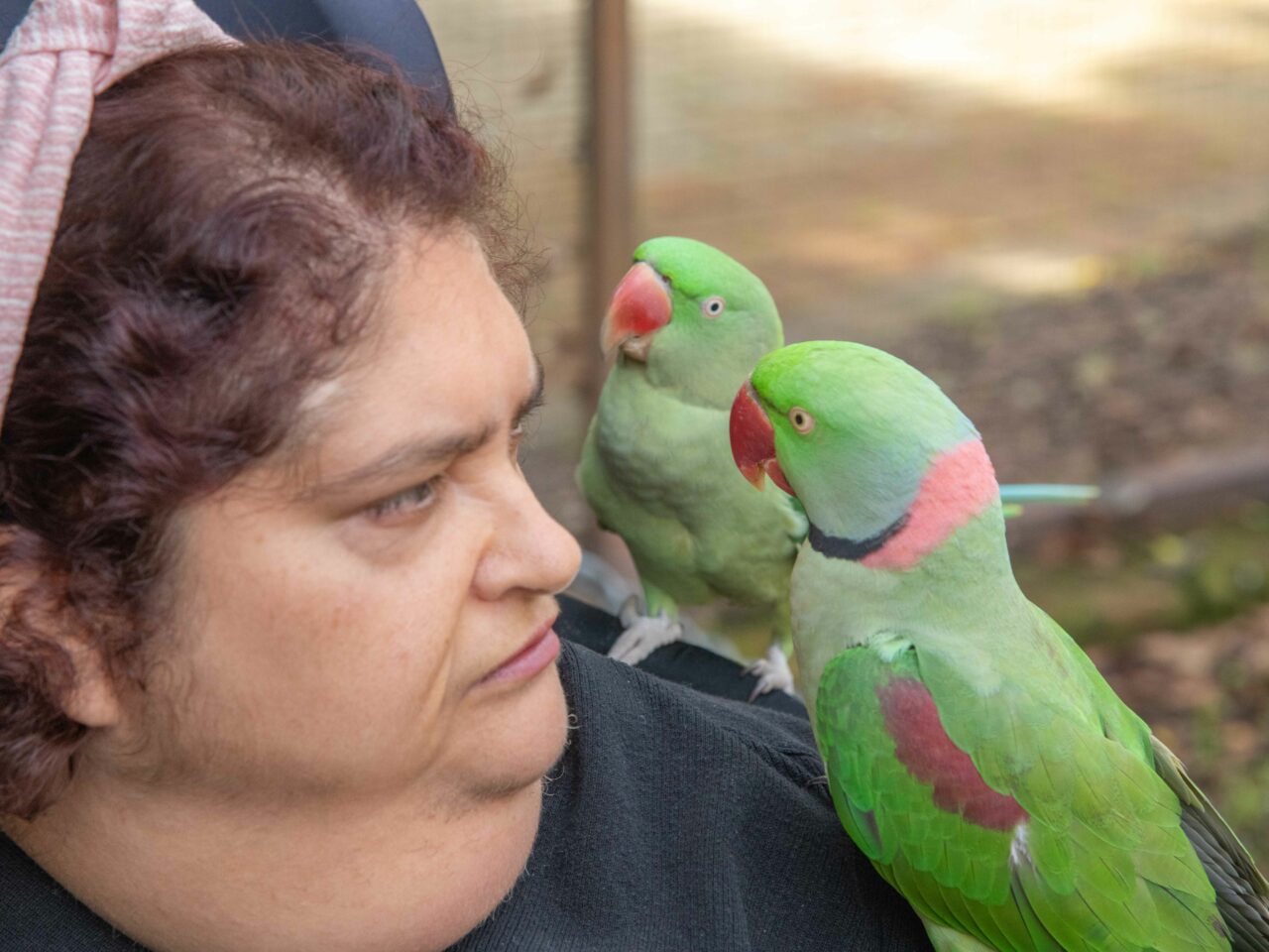 TLC Support WA Customised Disability Services